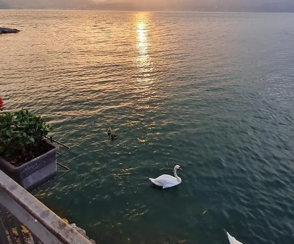 La Perla Del Di Διαμέρισμα